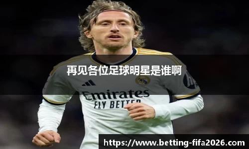 再见各位足球明星是谁啊